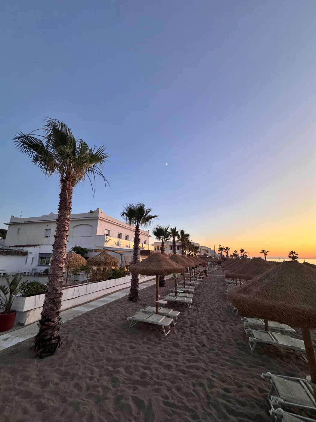 Equipped beach at Lido Diomedee